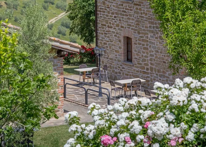 Agriturismo Tenuta Di Biscina