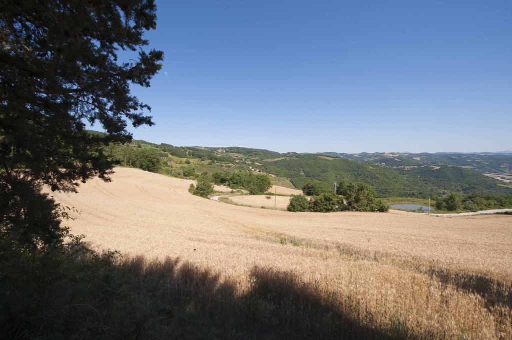 Tenuta Di *
