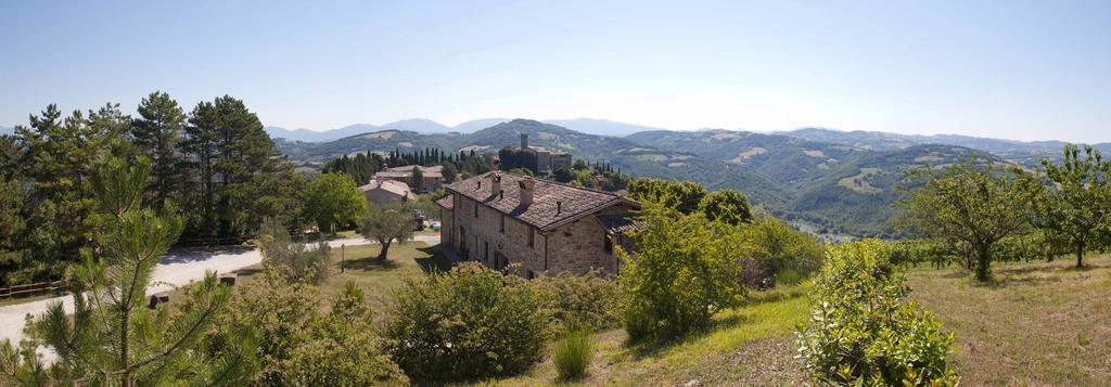 Tenuta Di Biscina