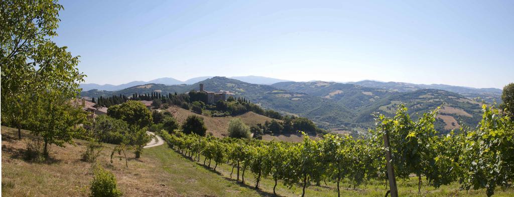 Tenuta Di Alojamento de Turismo Rural