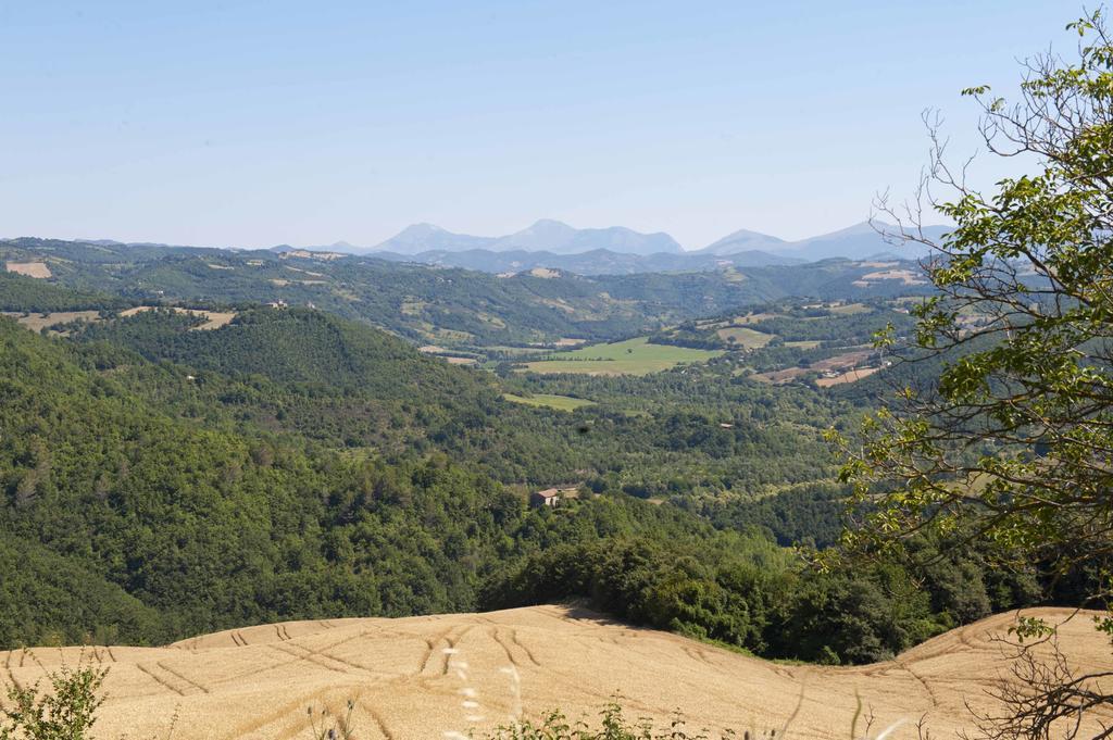Tenuta Di * Biscina