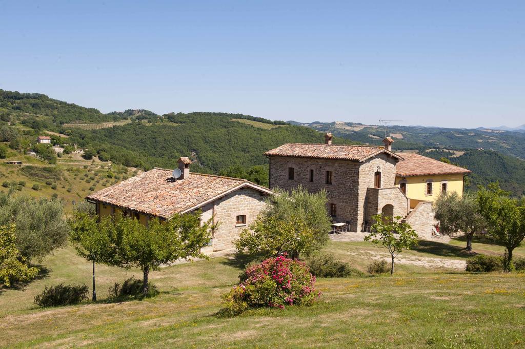 Tenuta Di *