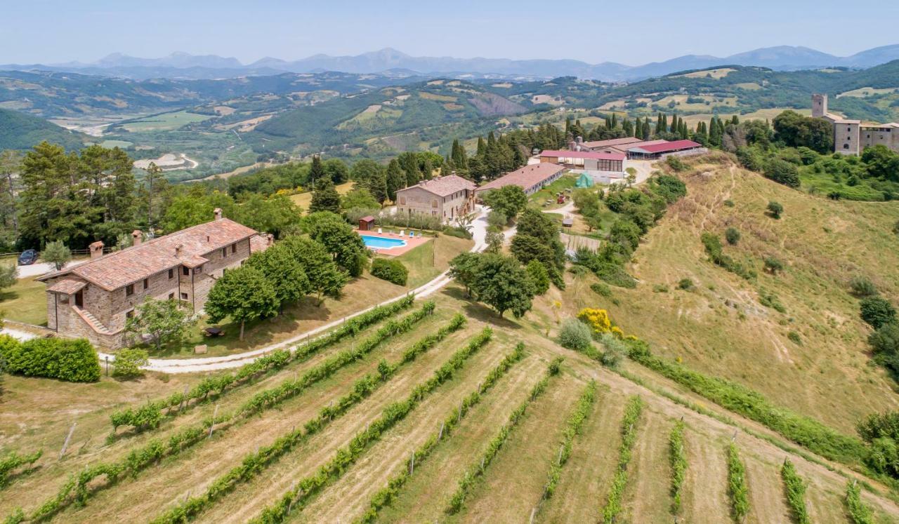 Tenuta Di Biscina