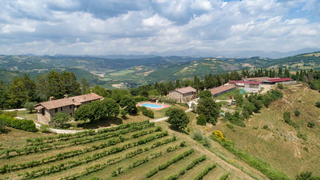 Tenuta Di Alojamento de Turismo Rural