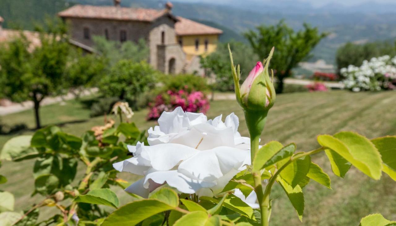 Tenuta Di *